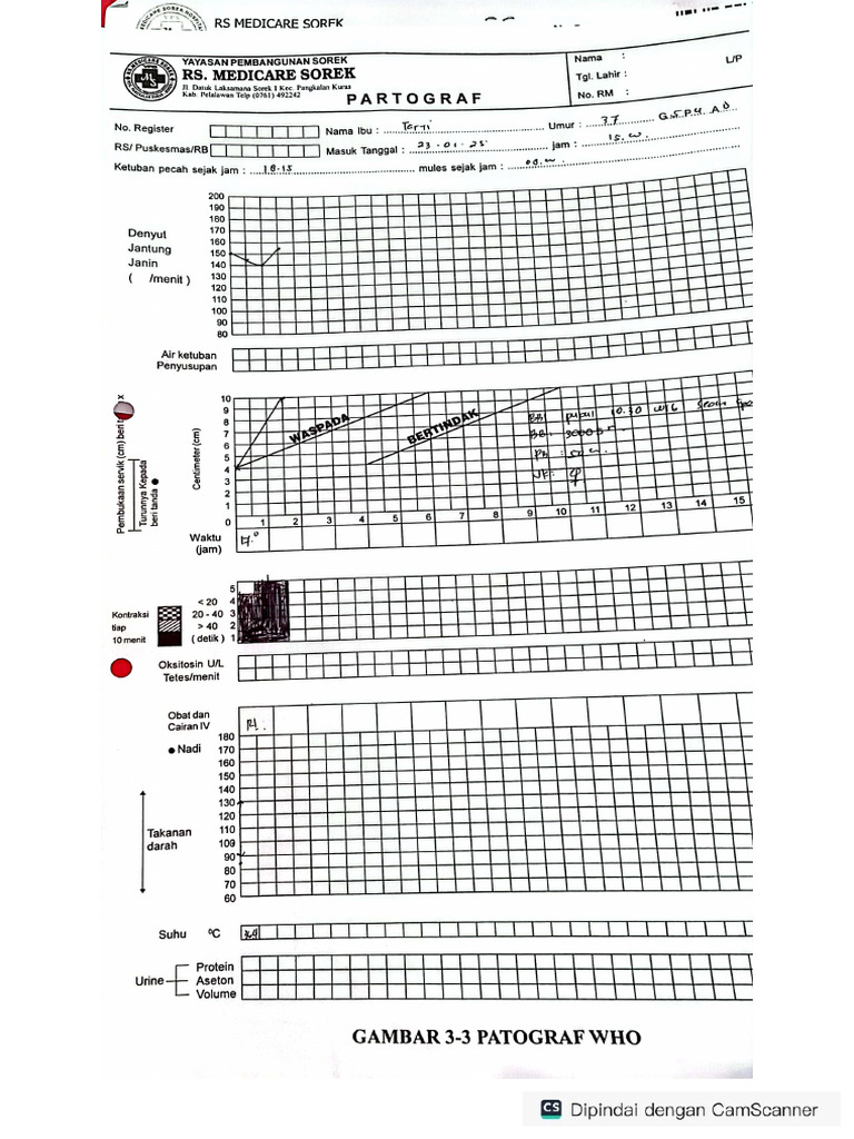 Patograf Ny Tarti (063879) | PDF