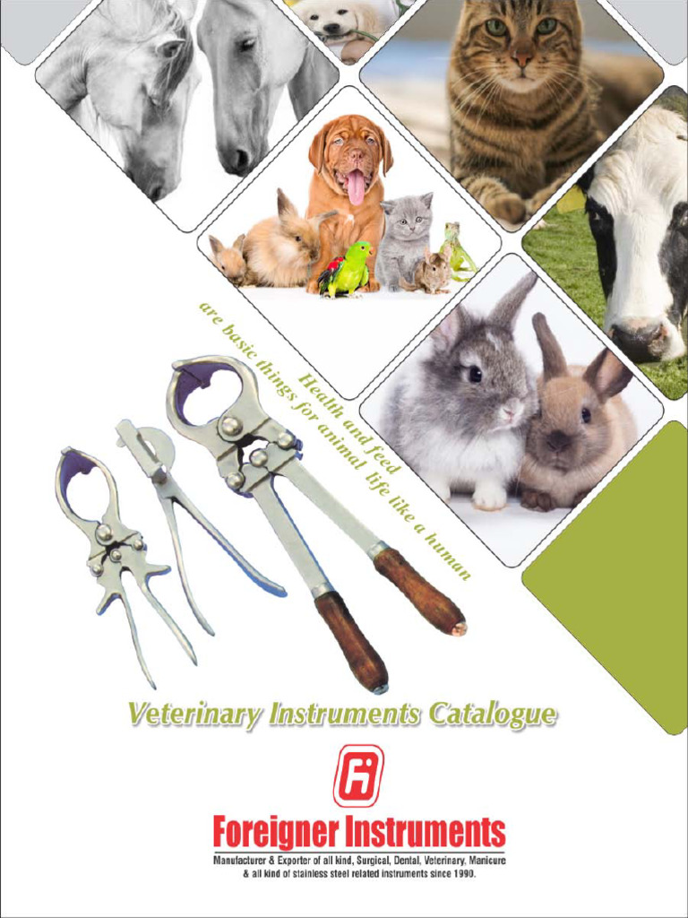 Foreigner Veterinary Instruments Catalogue | PDF