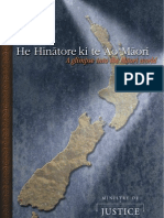 Maori Perspectives