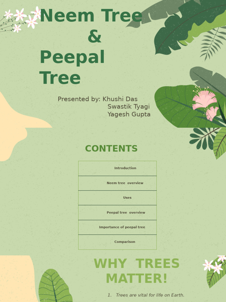 Neem and Peepal Trees: Importance & Uses | PDF