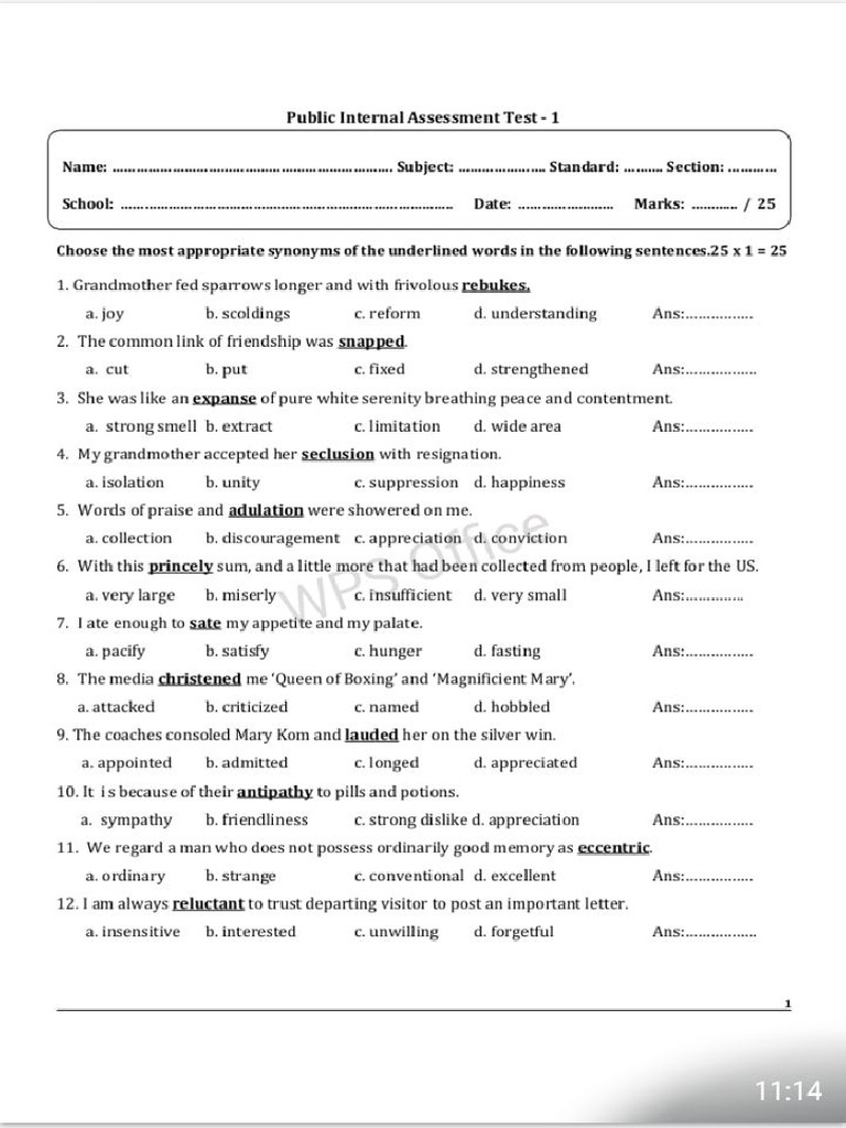 Public Internal Assessment Test - Vocabulary and Language Skills | PDF ...