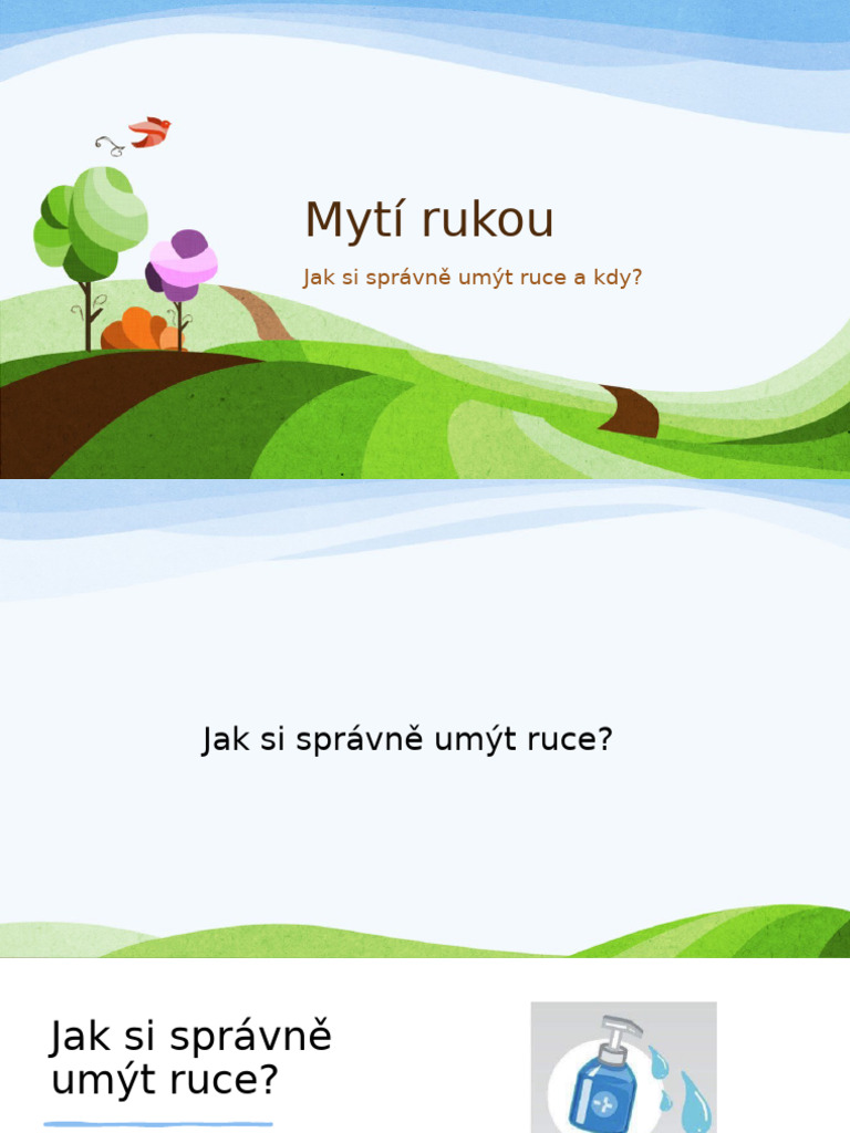 Jak Si Správně Mýt Ruce | PDF