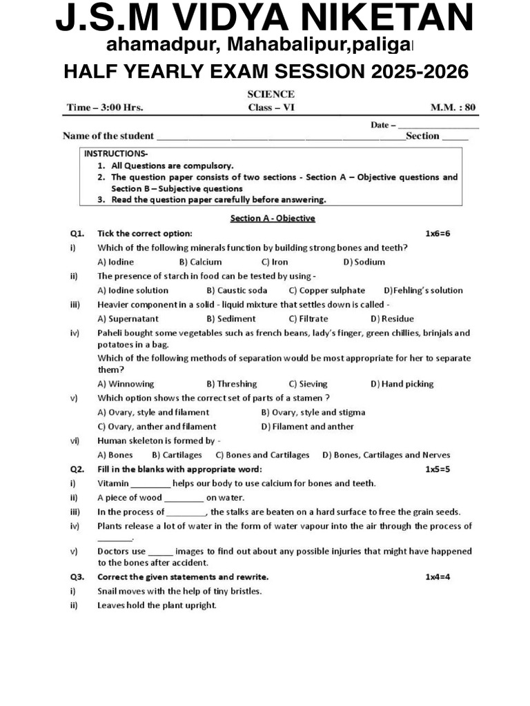 Class 6 Science | PDF