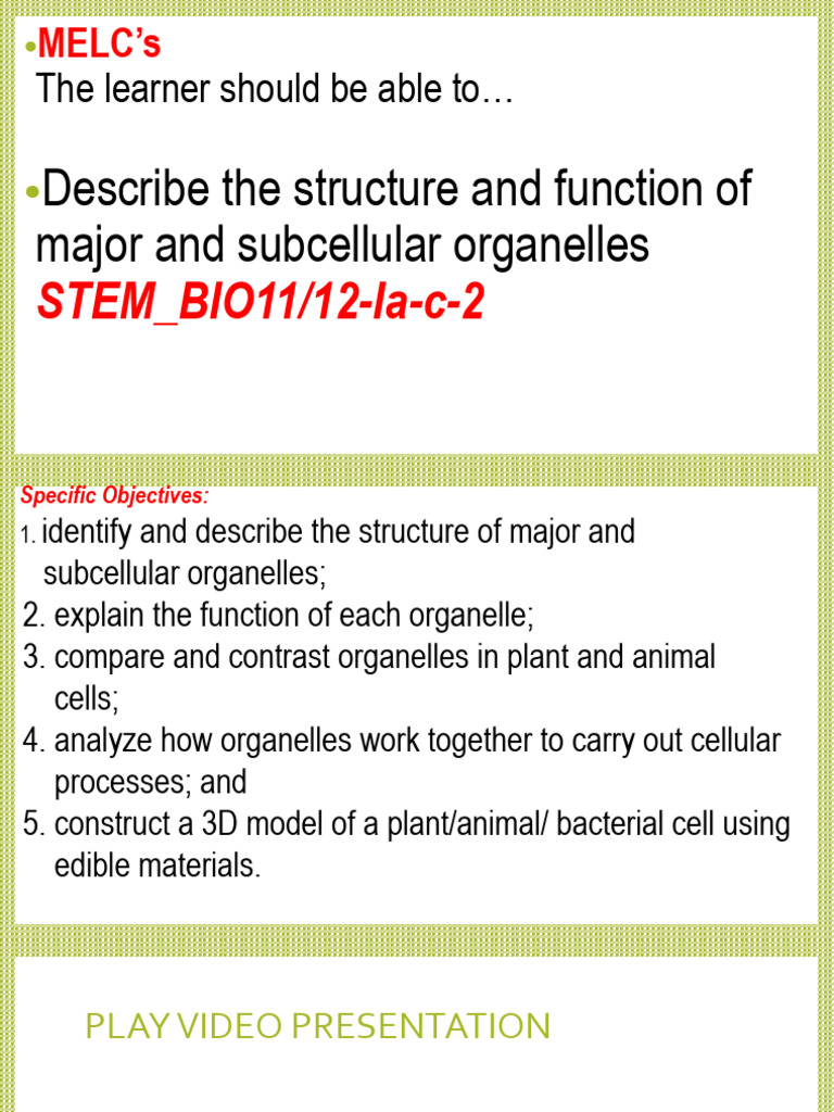 Cell Structure and Function Overview | PDF | Cell Membrane | Cell (Biology)