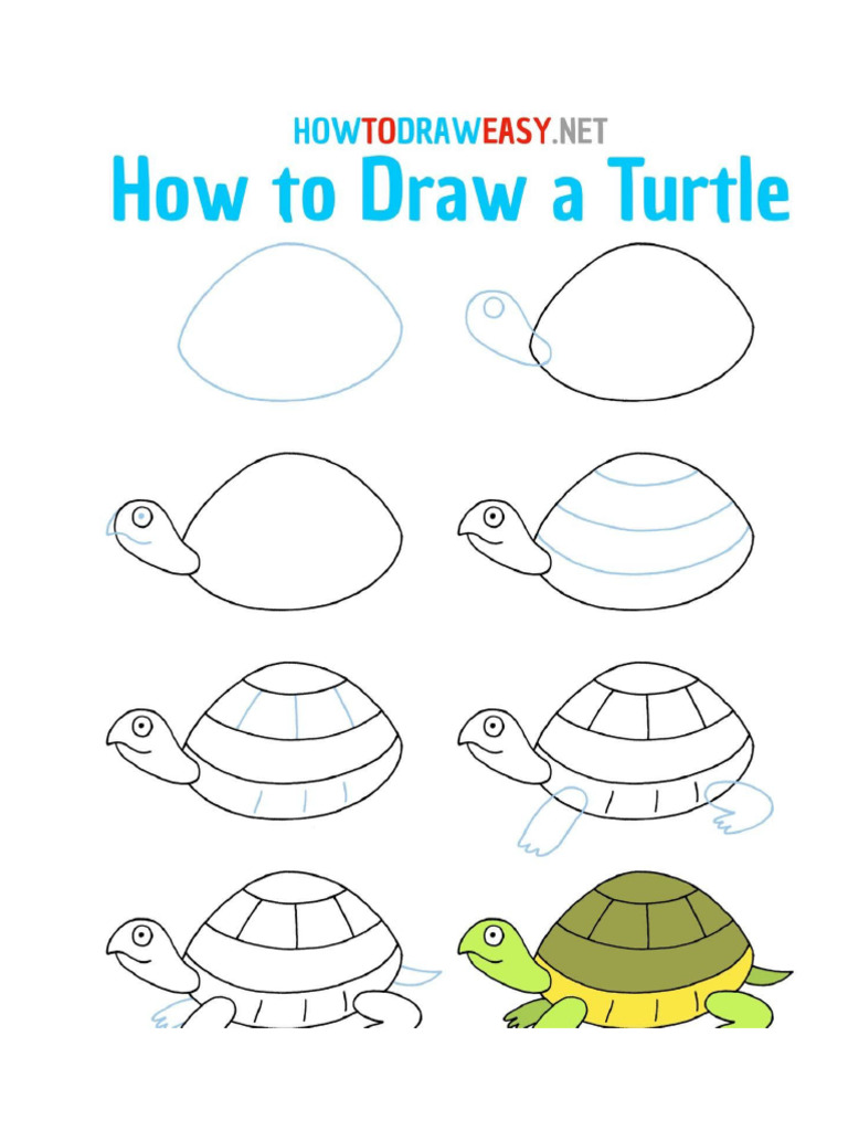 Turtle Template | PDF