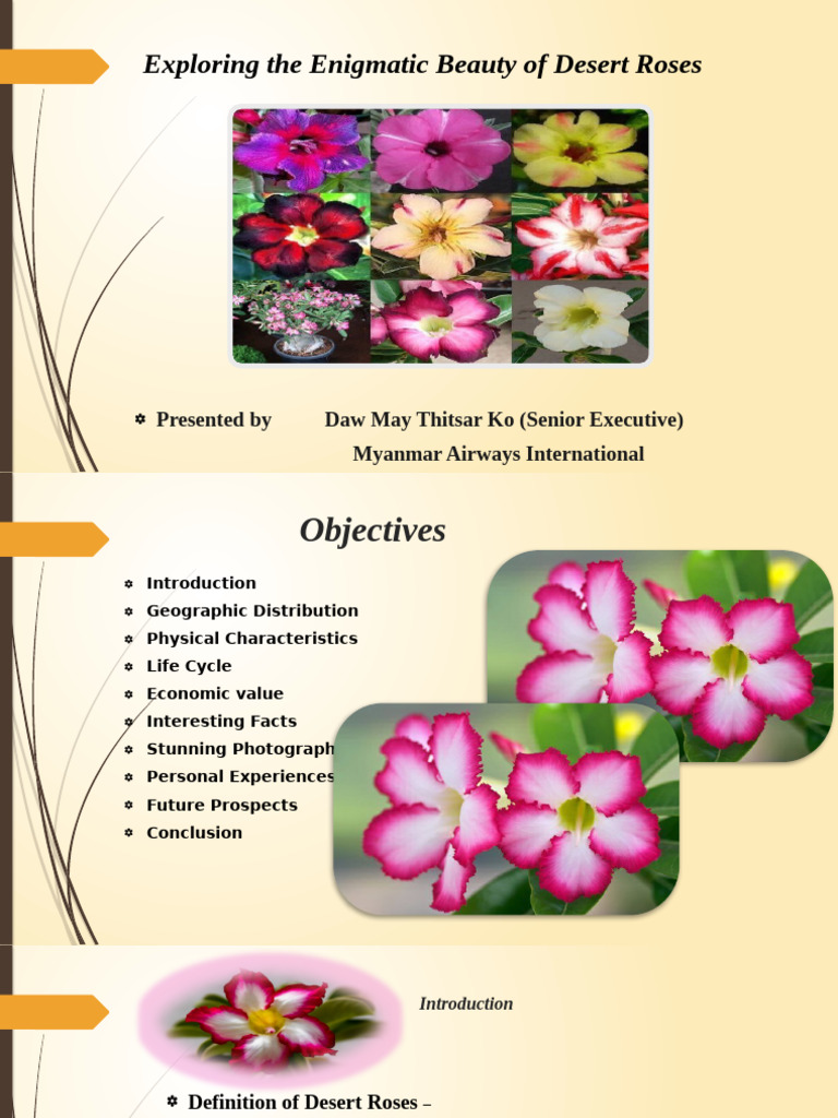 Exploring The Enigmatic Beauty of Desert Roses | PDF | Desert ...