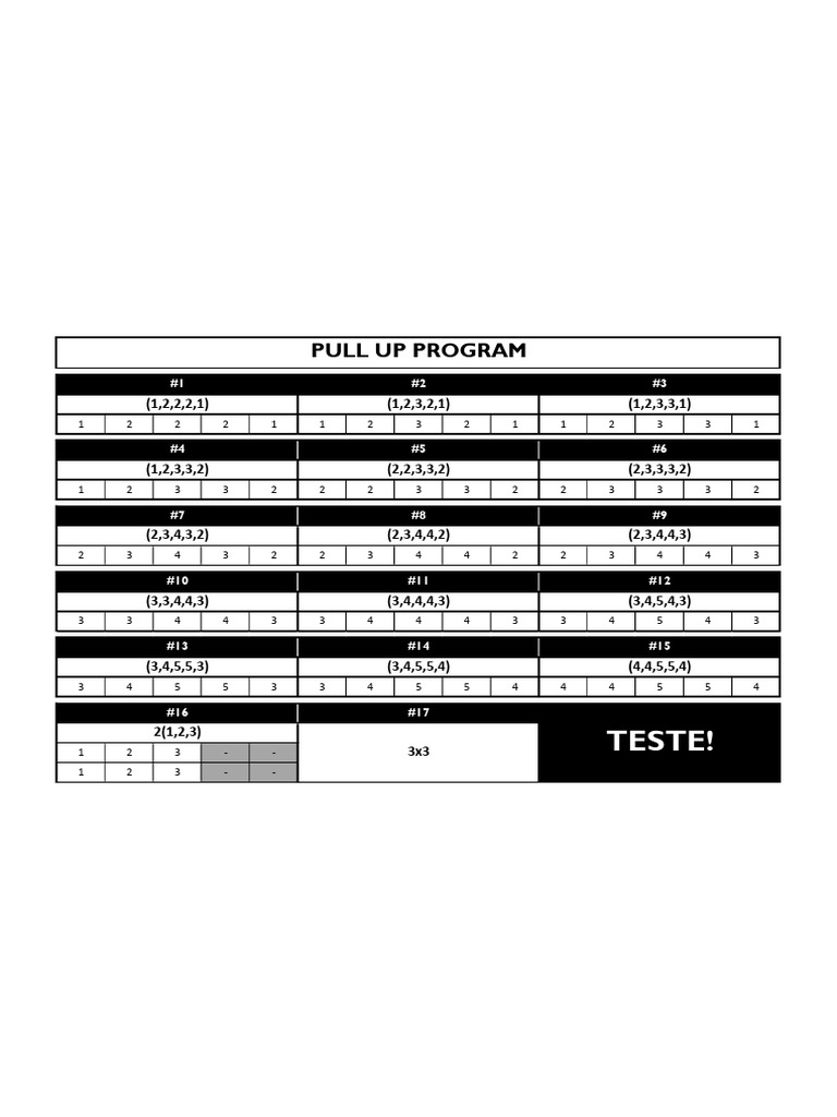 4.3 Pull Up Program | PDF