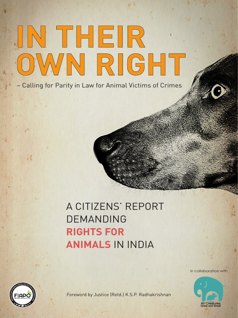 Rights for Animal Victims in India | PDF | Violence | Cruelty To Animals