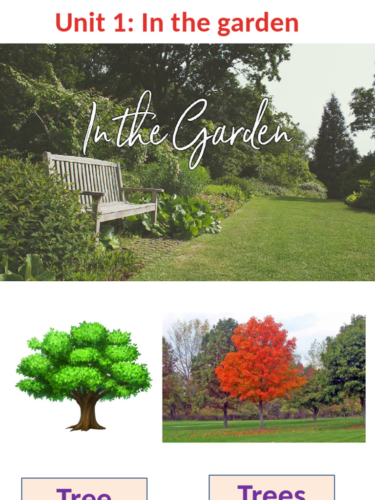 Unit 1 in The Garden | PDF