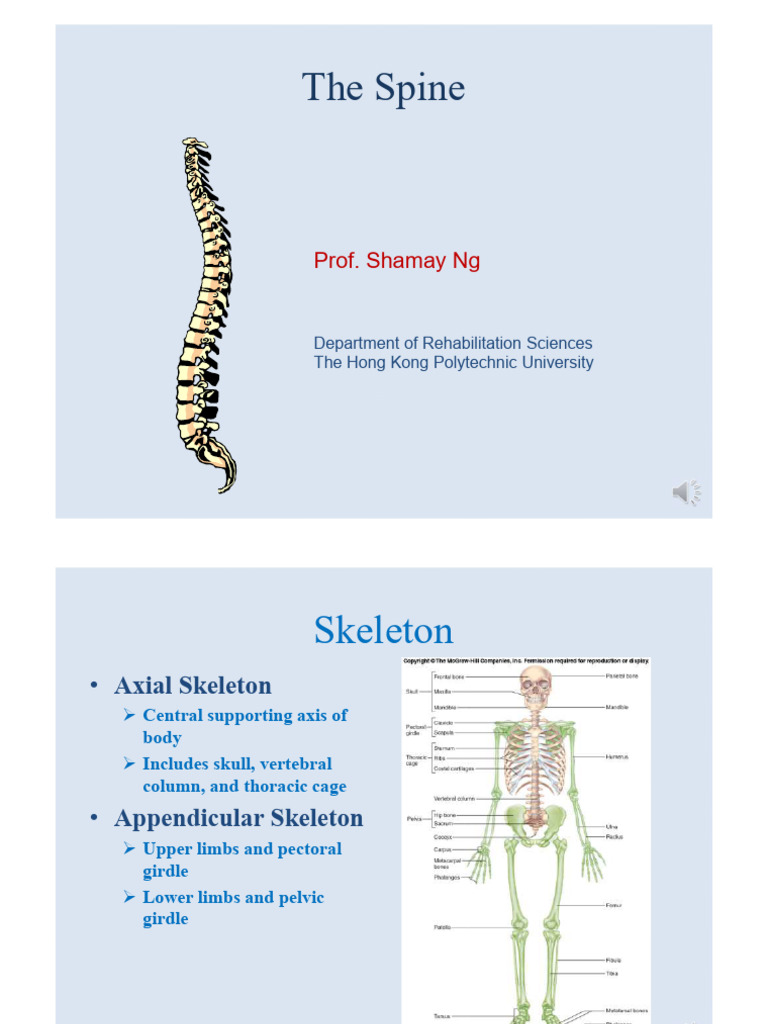 Anatomy and Function of the Spine | PDF | Vertebra | Musculoskeletal System