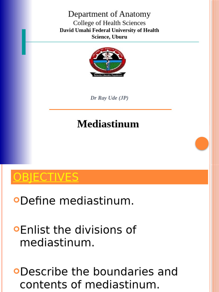 Superior Mediastinum Overview | PDF | Thorax | Human Anatomy