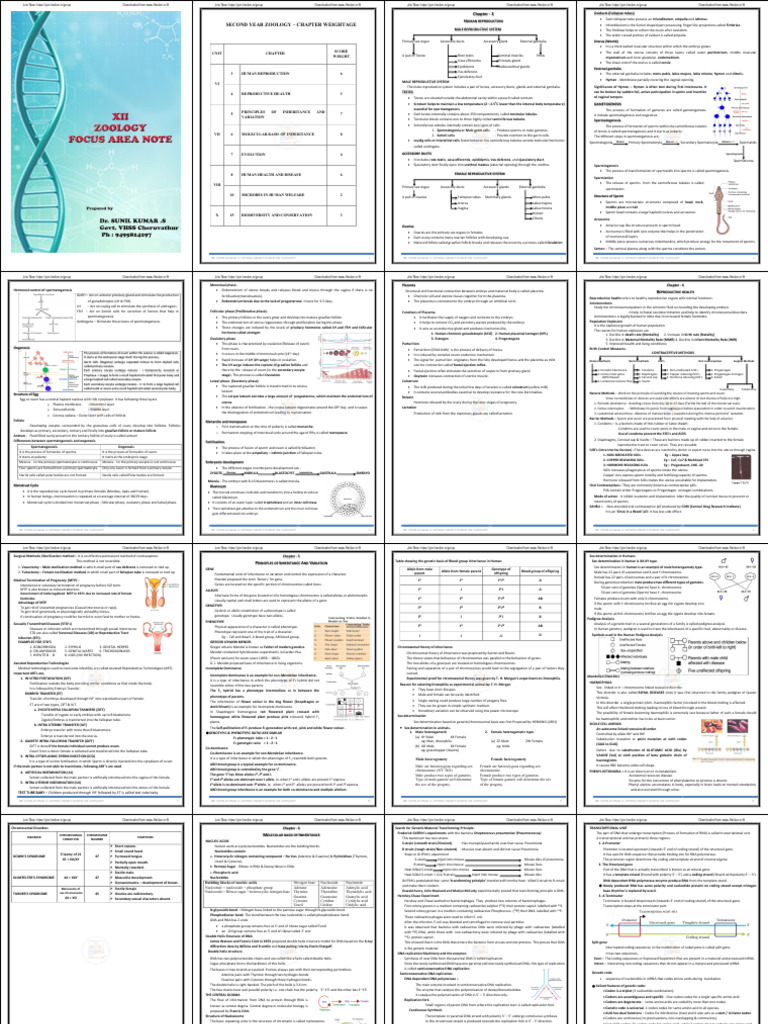 Human Reproduction Overview | PDF | Menstrual Cycle | Ovary