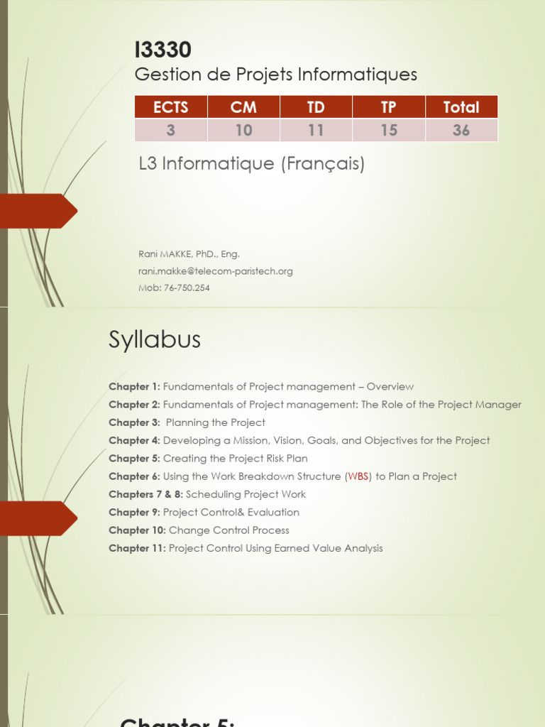 Project Risk Management Guide | PDF | Risk | Risk Management