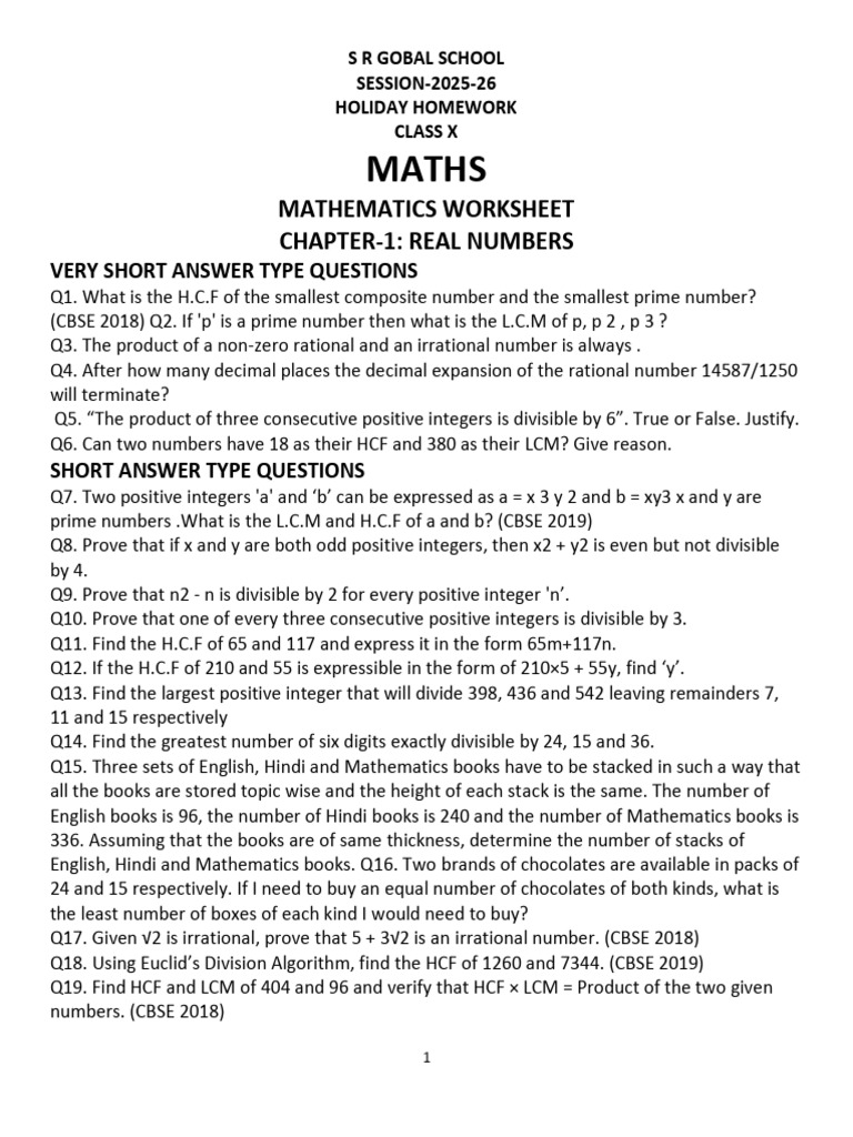Class X Maths Holiday Homework | PDF | Numbers | Quadratic Equation