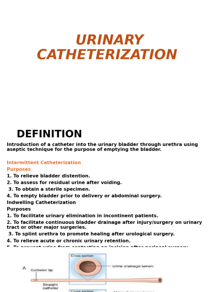 Urinary Catheterization Guide | PDF | Clinical Medicine | Genitourinary ...