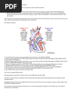 Fetal Circulation Flow Chart | PDF