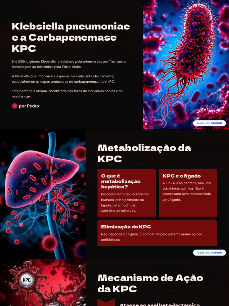 Klebsiella pneumoniae e Carbapenemase KPC | PDF | Bactérias | Fígado