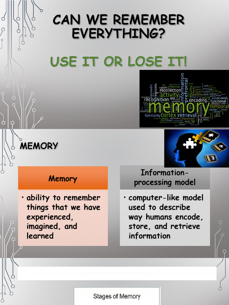 Memory: Encoding, Storage, Retrieval | PDF | Memory | Recall (Memory)
