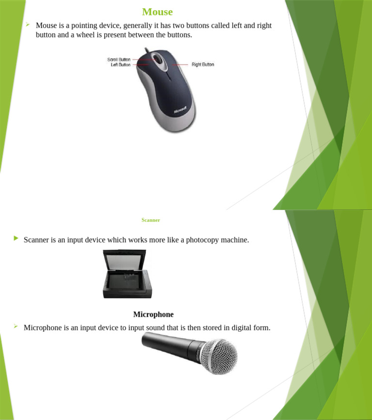 Mouse | PDF