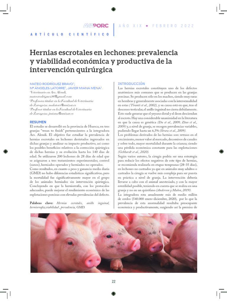 Hernias escrotales en lechones: estudio y cirugía | PDF