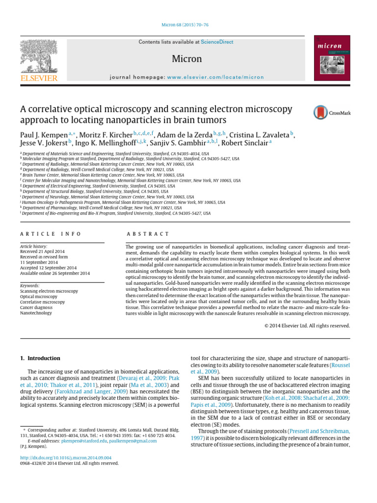 A Correlative Optical Microscopy and SEM - Nanoparticles in Brain ...