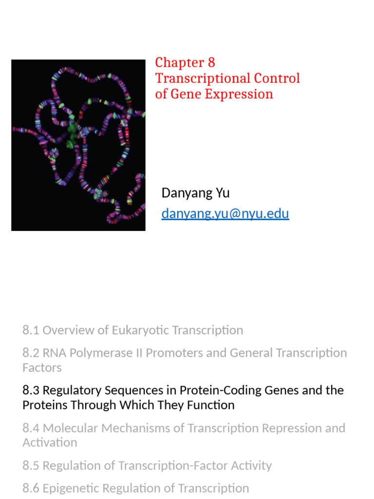 Eukaryotic Gene Expression Control | PDF | Promoter (Genetics ...