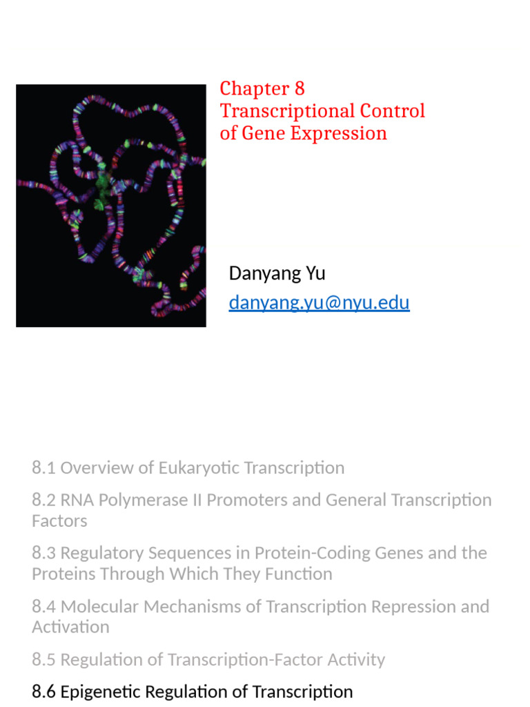 FoB Lecture April 24 Part 1 | PDF | Regulation Of Gene Expression | Operon