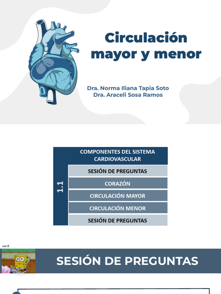 Circulación Mayor y Menor del Corazón | PDF | Sistema circulatorio | Vena