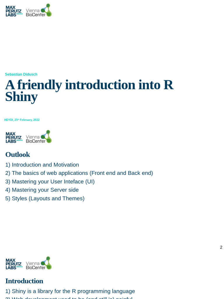 Introduction to R Shiny Applications | PDF | User Interface ...