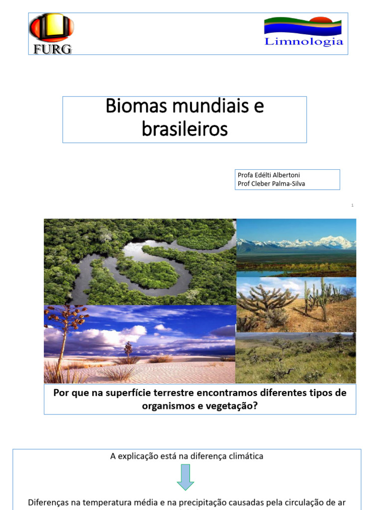 Biomas Mundiais e Brasileiros: Definições e Características | PDF ...