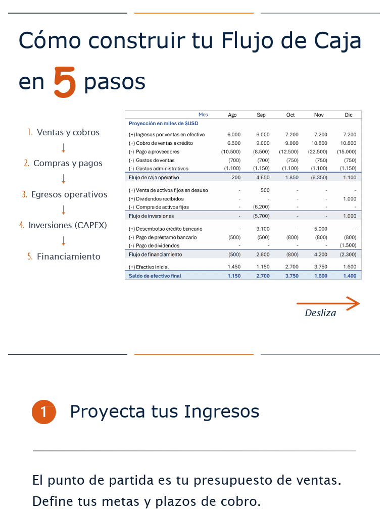 Flujo de Caja en 5 Pasos | PDF
