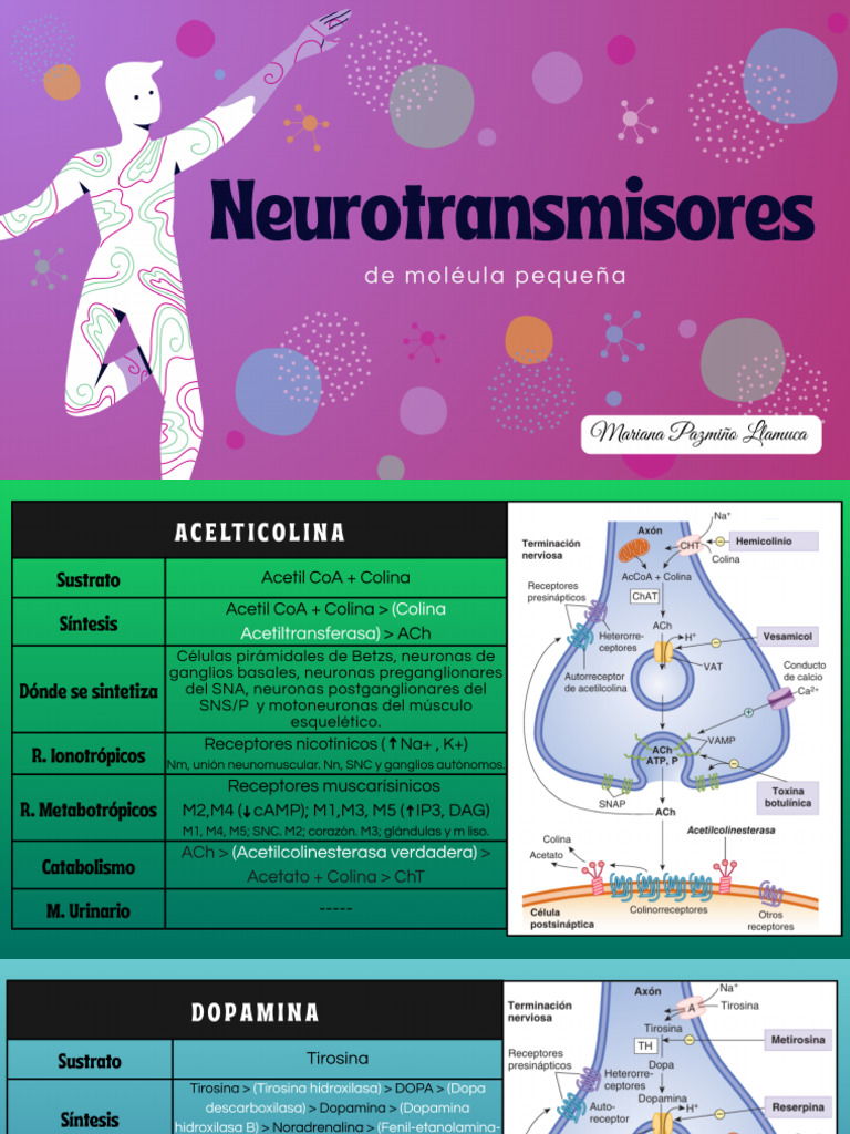 Neuro Transm I Sores | PDF