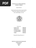 Download format laporan pengleab by Gak Perlu Pake Nama SN90475386 doc pdf