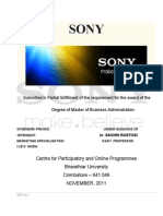 Project Report On Sony