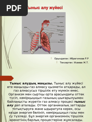 Ер адам өзінің үлкен мүшесін сорады.