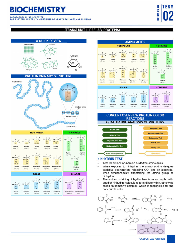 Protein Analysis Tests and Techniques | PDF | Thin Layer Chromatography ...