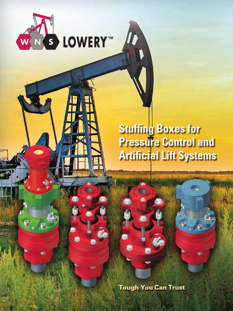 WNS Lowery™ Stuffing Boxes Overview | PDF | Mechanical Engineering