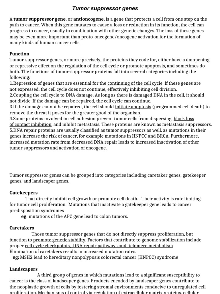 Tumor Suppressor Gene | PDF | Tumor Suppressor Gene | P53