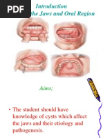 Download Introduction Cysts of Jaws by Enass A-Abdallah SN90487552 doc pdf