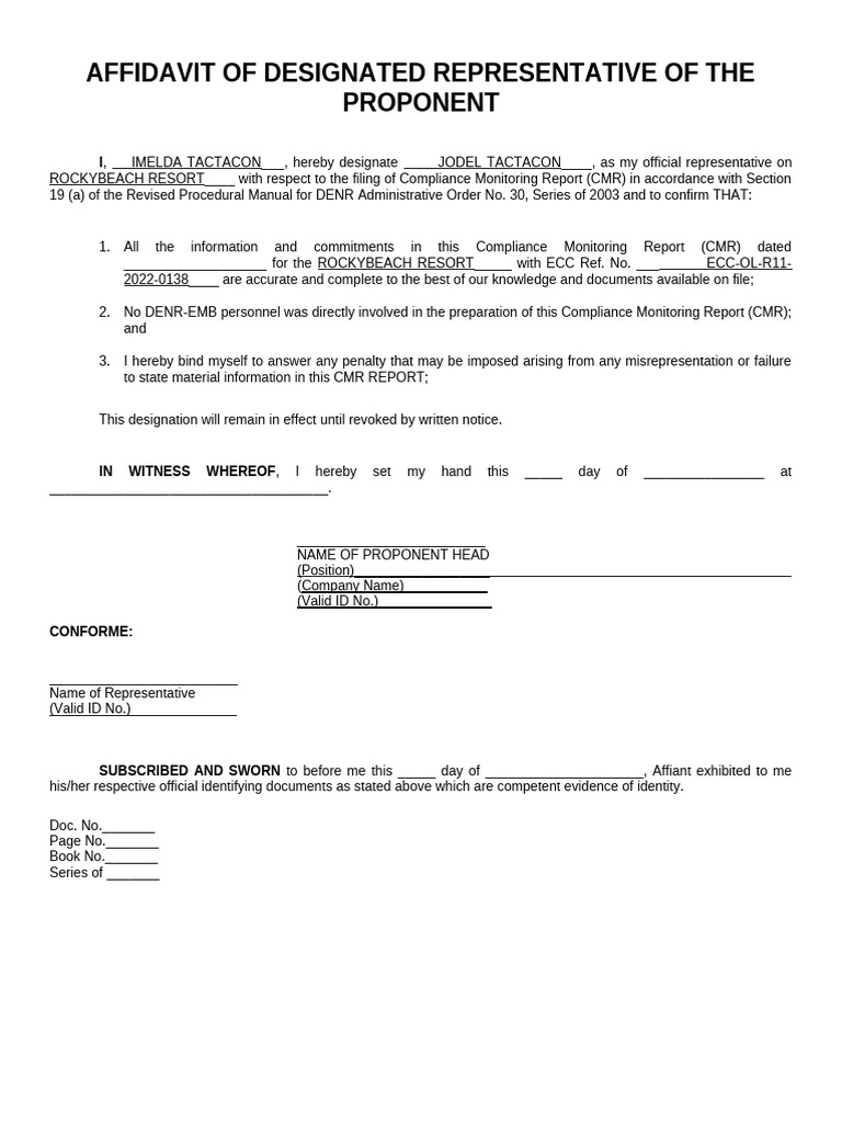 Affidavit of Designated Representative | PDF