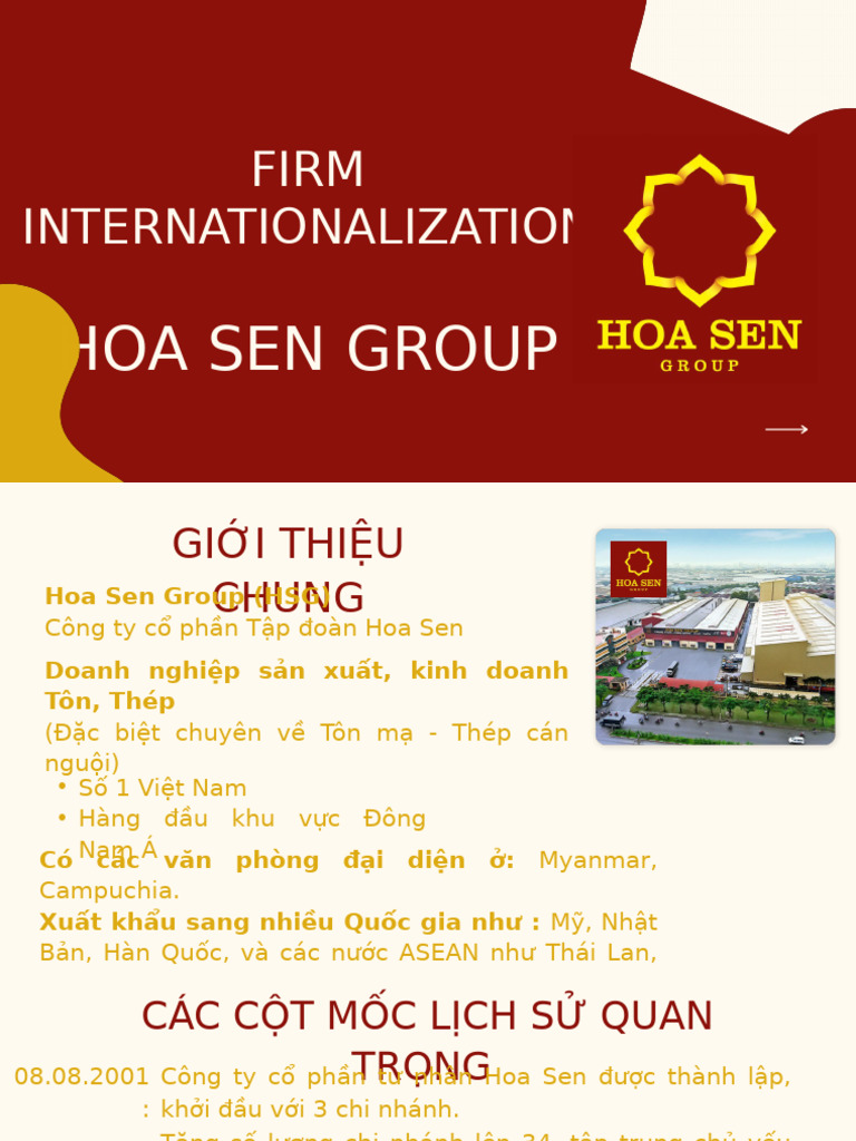Hoa Sen Group | PDF