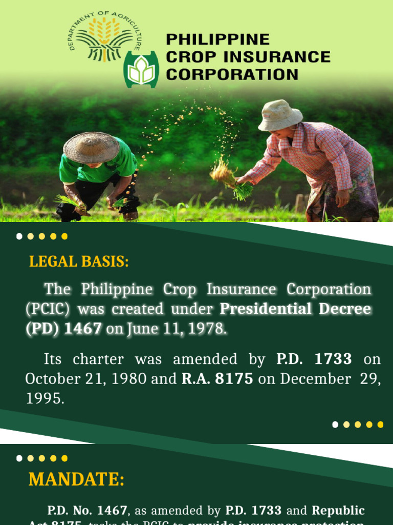 Pcic Program Presentation | PDF