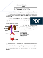 Sistema Excretor