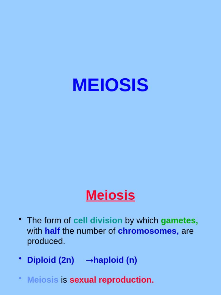 Understanding Meiosis and Gamete Formation | PDF | Meiosis | Mitosis