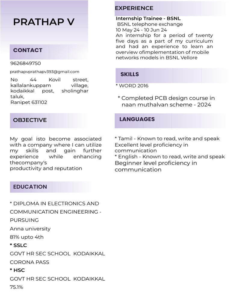 Prathap V's Resume from Sholinghar | PDF