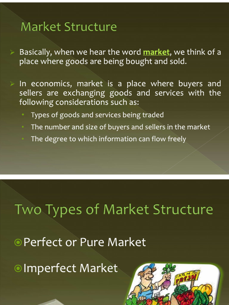 1.3 Perfect & Imperfect Competition | PDF