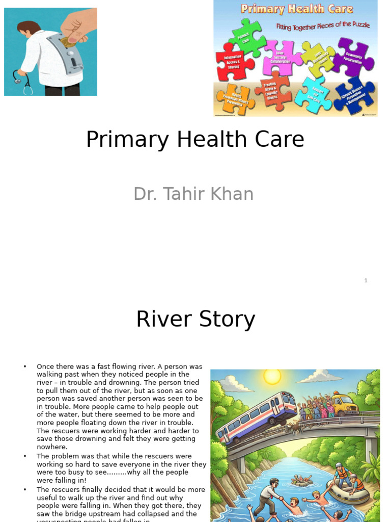 Understanding Primary Health Care Essentials | PDF | Public Health ...