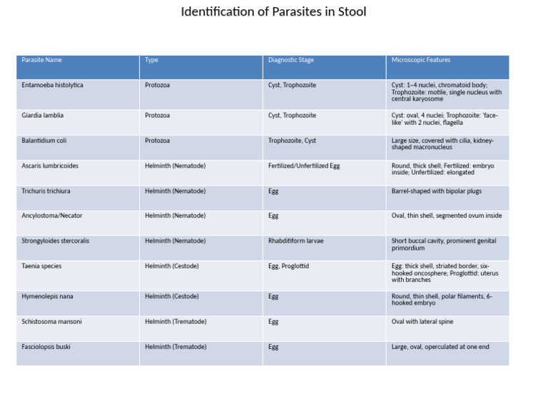 Identification of Parasites in Stool | PDF | Egg | Parasitology