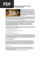 Download Enggemukan Dan Budidaya Kambing Peranakan Etawa Di Kecamatan Ngadirojo by Mustafa Chifa SN90498805 doc pdf