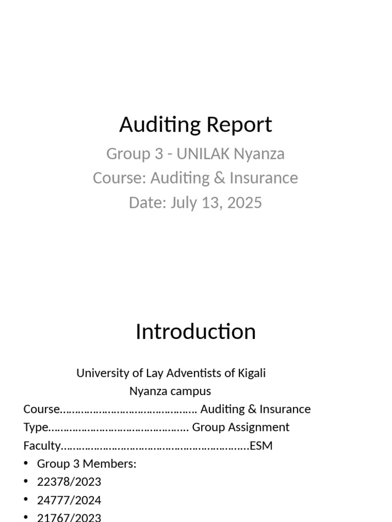 Comprehensive Auditing Report Overview | PDF | Audit | Auditor's Report